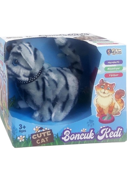 Boncuk Kedi