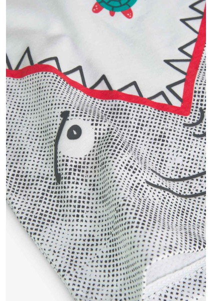 Erkek Çocuk Tişört modelleri