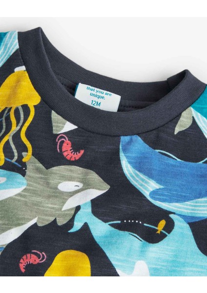 Erkek Çocuk Tişört modelleri