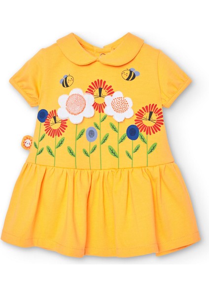Kız Bebek Elbise