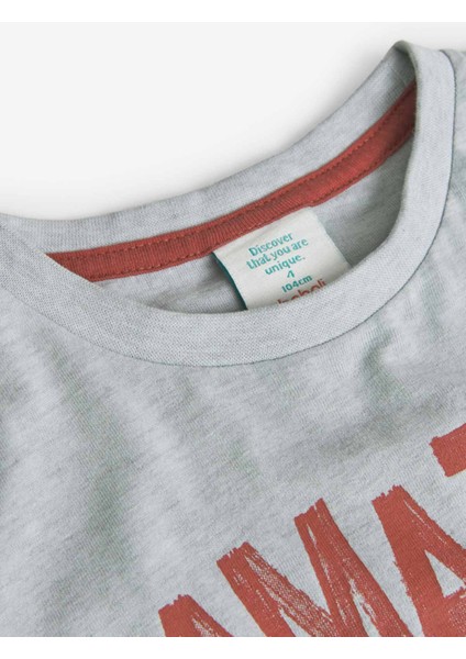 Erkek Çocuk Tişört modelleri