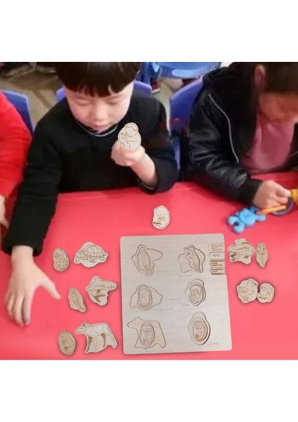 Suntek Çocuklar Için Ahşap Yapboz Oyuncakları Fen Öğretimi (Yurt Dışından) fiyatları