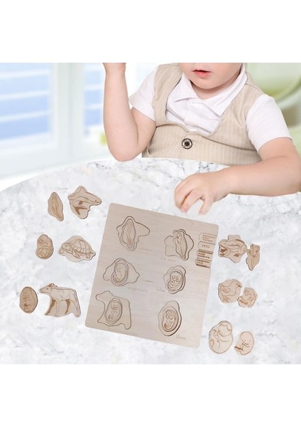 Suntek Çocuklar Için Ahşap Yapboz Oyuncakları Fen Öğretimi (Yurt Dışından) fırsatları