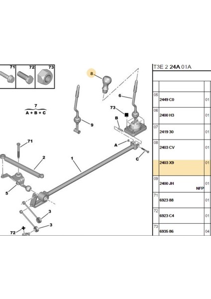 Vites Topuzu 206 (BPE436021-2403.V0-2403.X9)