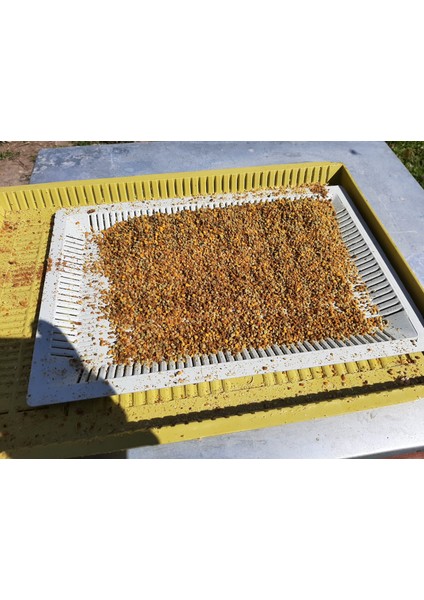 Saf Arı Poleni Doğal Kuru Polen 250 gr fiyatları