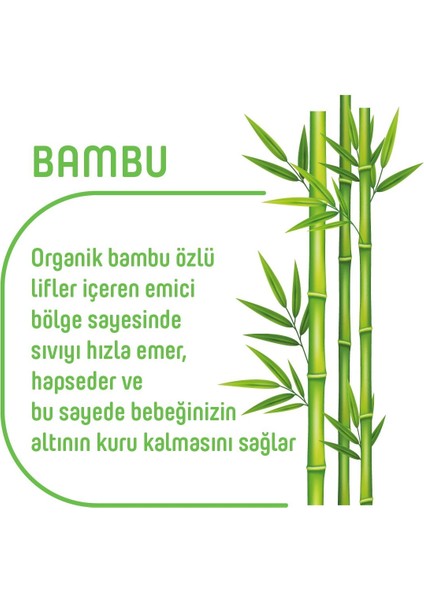 Organik Bambu Özlü Külot Bez 4'lü Paket 5 Numara Junior 160 Adet