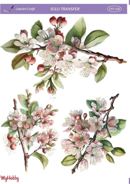 Kiraz Çiçeği Desenli Sulu Transfer LNT-128 25X35