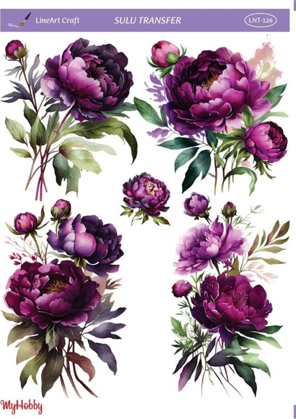 Mor Gül, Çiçek Desenli Sulu Transfer LNT-126 25X35