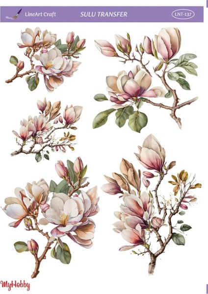 Manolya Çiçek Desenli Sulu Transfer LNT-137 25X35