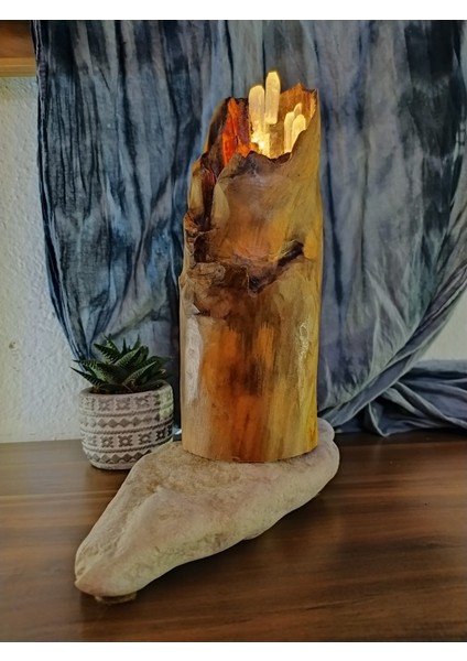 Drıftwood Aydınlatmalı Ev Dekoru