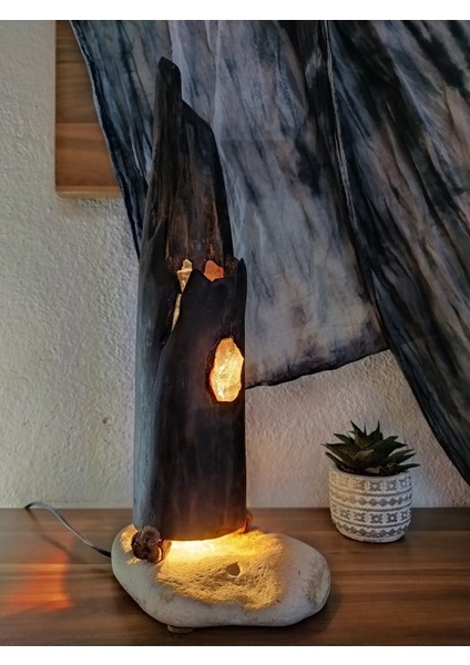 Drıftwood LED Aydınlatmalı Ev Dekoru