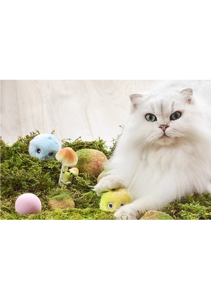 Yerçekimi Çağrısı, Kedi, Kedi, Kendi Kendine Komiklik, Sıkılmış, Alaycı Kedi, Ses, Kedi Oyuncağı (Yurt Dışından) fiyatları