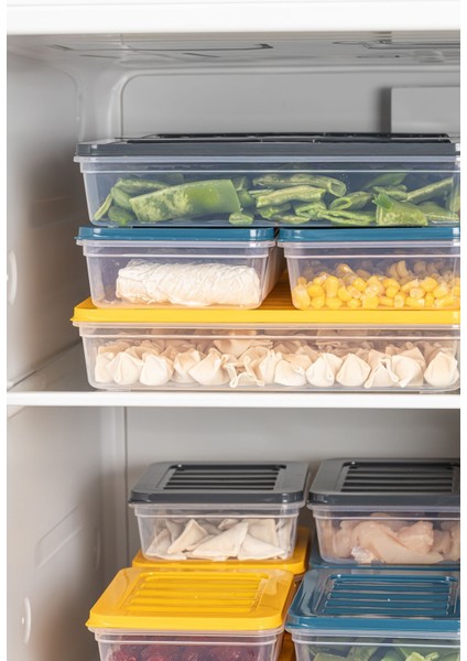 4'lü Buzdolabı Organizer Mikrodalga ve Difrize Uygun Saklama Kabı Antrasit 4 x 1200 ml