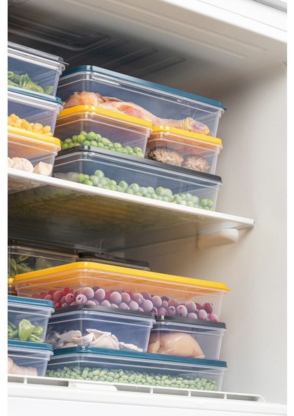 4'lü Buzdolabı Organizer Mikrodalga ve Difrize Uygun Saklama Kabı Antrasit 4 x 2400 ml