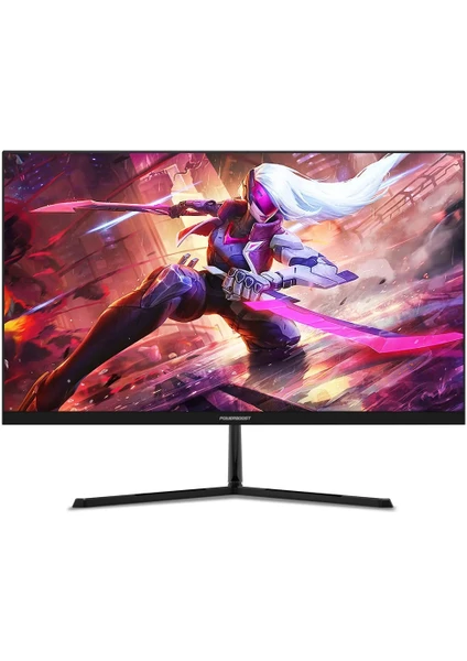 23,8" 100Hz IPS Frameless VGA+HDMI LED Gaming Monitör