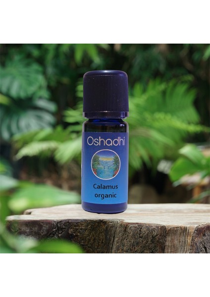 Organik Calamus 10 Ml.