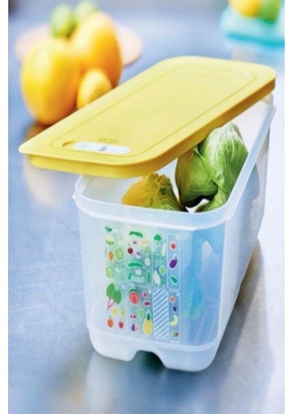 6,1 Litre Sera Sebze Saklama Kabı