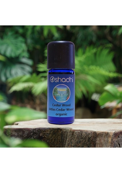 Organik Sedir Ağacı - Cedar Wood (Atlas Cedar Wood) 10ML.
