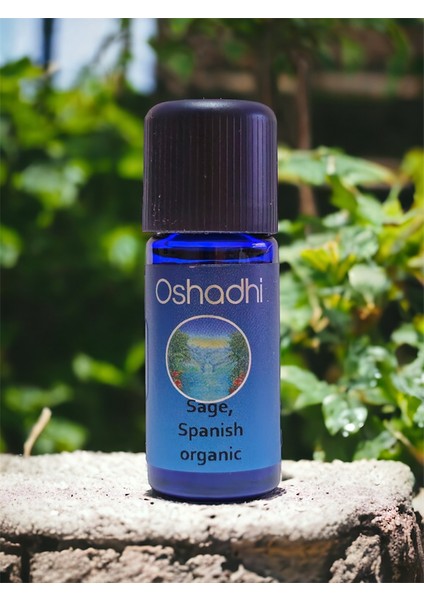 Organik Ada Çayı - Sage Spanish 10ML.