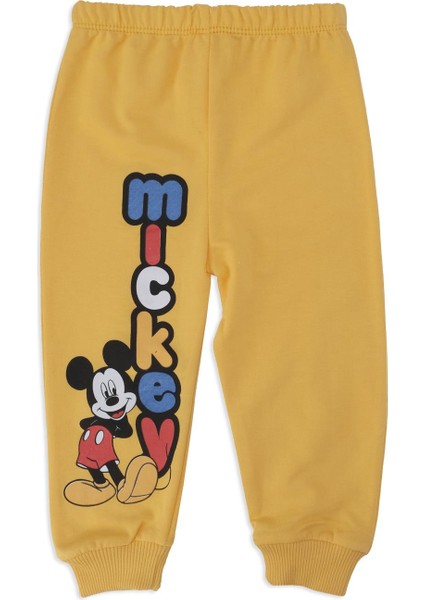 Erkek Bebek Mickey Mouse Baskılı Yazılı 2'li Alt Üst Takım modelleri