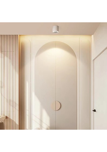 Insan Vücudu Indüksiyon Spot Işığı Tavan Sensörü Işık Lambası Oda Yüzeye Monte Edilmiş 12W Cob Sıva Altı Aydınlatma 3500K (Yurt Dışından) fiyatları