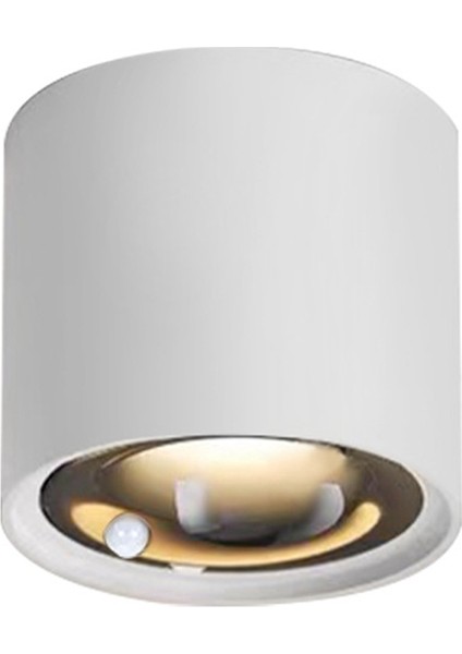 Insan Vücudu Indüksiyon Spot Işığı Tavan Sensörü Işık Lambası Oda Yüzeye Monte Edilmiş 12W Cob Sıva Altı Aydınlatma 3500K (Yurt Dışından) modelleri