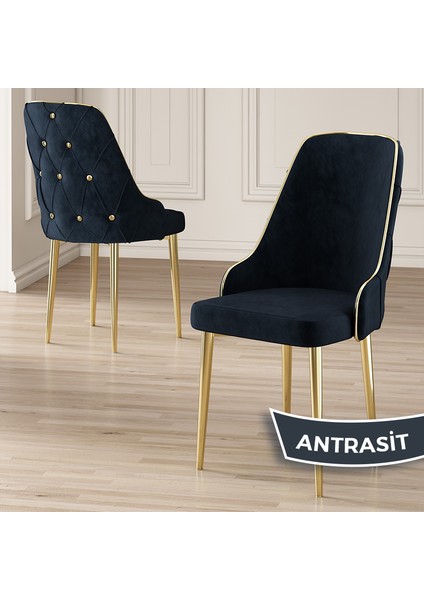 Concept Krax Serisi Babyface Kumaş Yemek Odası Sandalyesi Gold Metal Ayak 1 Adet Sandalye