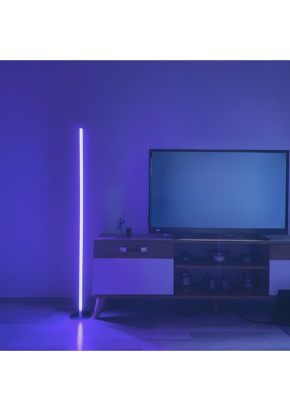 NAPNİTE Rgb LED Lambader, Rgb Kumandalı, Çok Özellikli, Ambiyans Aydınlatma