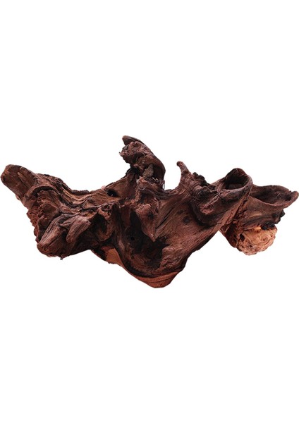 Tank Driftwood Hideaway Sürüngenler Driftwood Dekor Heykel Retro Şube 15 cm Ila 20 cm (Yurt Dışından) fırsatları