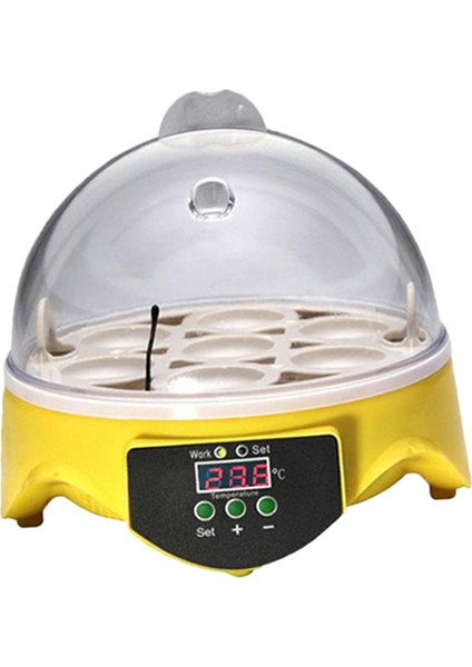 In, Tavukların I Için 7 Yumurtanın I (Yurt Dışından) fırsatları