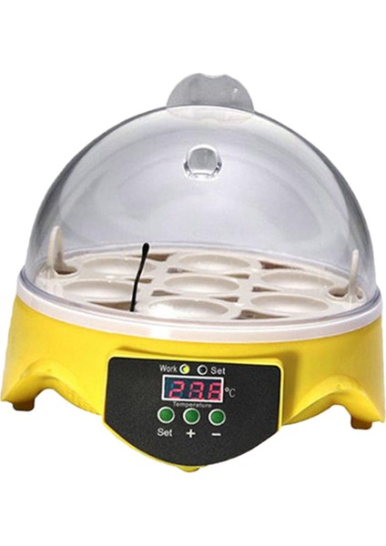 In, Tavukların I Için 7 Yumurtanın I (Yurt Dışından) indirimleri