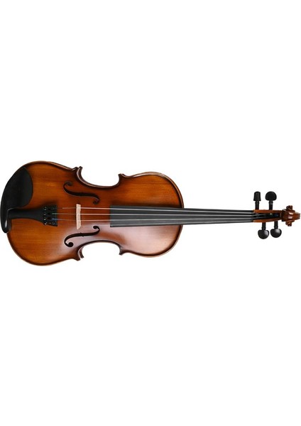 VF600 Masif Keman fiyatları