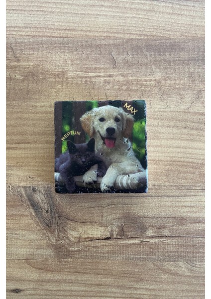 Evcil Hayvan Kedi Köpek Temalı Doğal Taş Traverten Bardak Altlığı 4 Lü Set