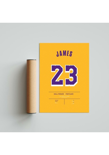 Lebron James Los Angeles Lakers Jersey 21 x 30 cm - Siyah Çerçeveli