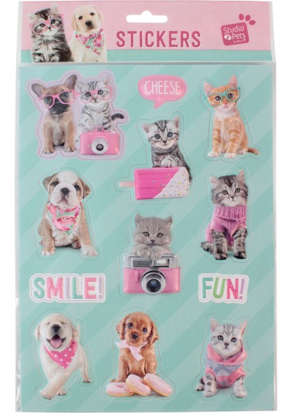 PT-4673 3D Studio Pets Sticker - Pembe