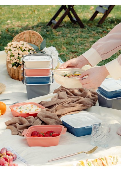 Mikrodalgaya Uygun Kapaklı Dört Parça Taşınabilir Saplı Piknik Kutusu (Yurt Dışından) fırsatları