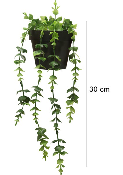 Yapay Sarkıt Siyah Saksılı Yeşil Bitki Okaliptus Tarzı Sarmaşık