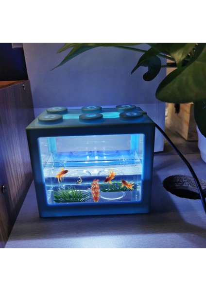Açık Mavi Şeffaf Akvaryum (Yurt Dışından) indirimleri