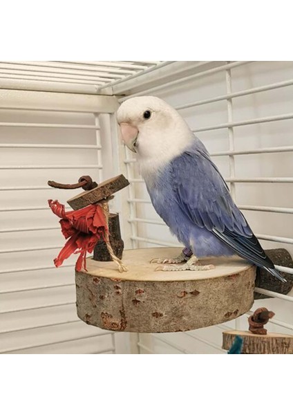 Ahşap Yuvarlak Papağan Platform Kafes Aksesuarları Parakeets Oyuncak 11CM-12CM (Yurt Dışından)