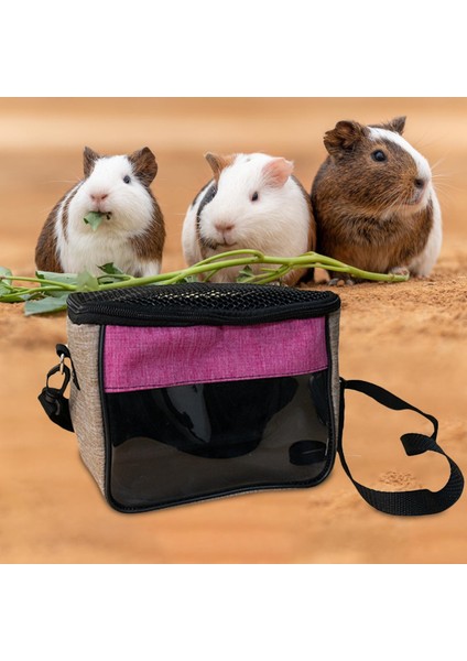 Küçük Sincap Sıçan Sincap Xl Taşıyan Domuzu Için Küçük Hamster Taşıyıcı Kafes (Yurt Dışından)