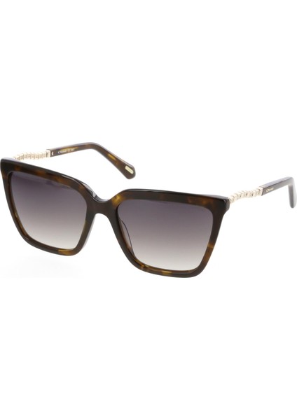 OS3552-02 57 Kadın Güneş Gözlüğü