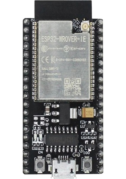 Esp-Wrover-Ie Wifi Geliştirme Kartı Esp-Wrover-Ie Çekirdek Kart Wifi +Bluetooth Uyumlu Seri Bağlantı Noktası Modülü (Yurt Dışından)