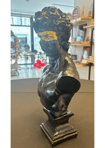 Davut Biblo 43 cm