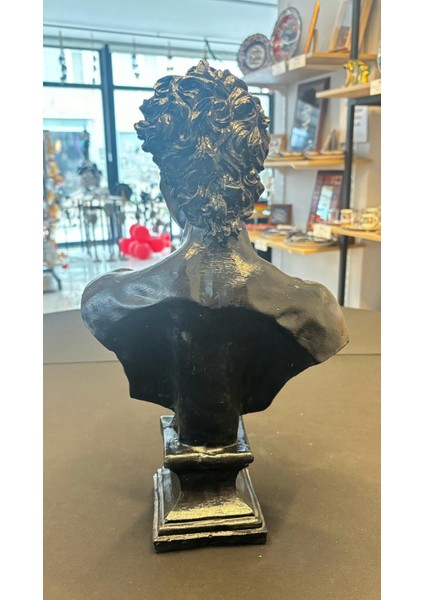 Davut Biblo 43 cm