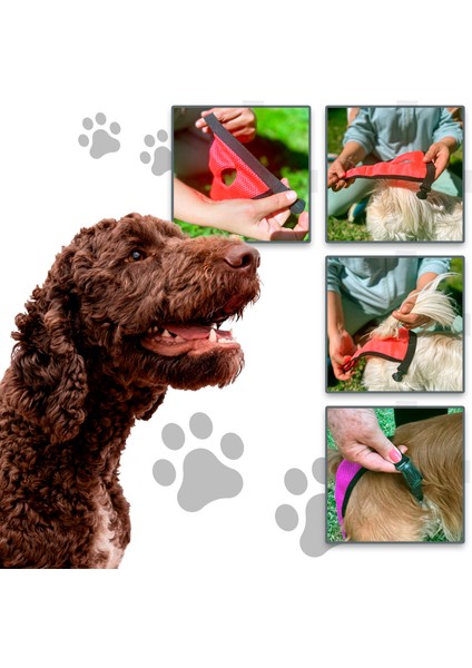 Köpek Regl Külodu -Sanitary Pants fırsatları