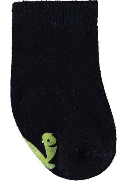 Erkek Bebek Çorap Set 6-18 Ay Yeşil-Siyah fiyatları