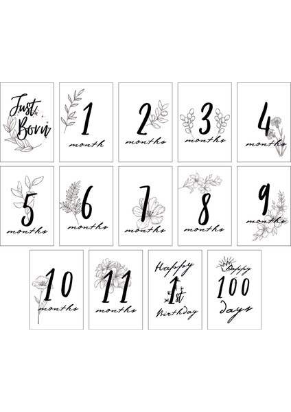 Aylık Bebek Kartları (10X15 cm 14 Adet)
