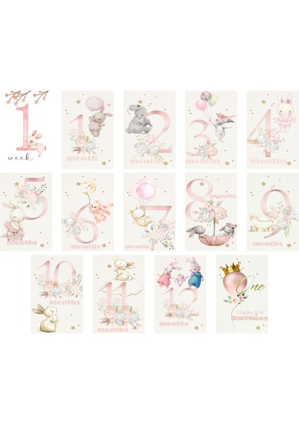 Aylık Bebek Kartları (10X15 cm 14 Adet)