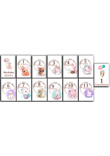 Aylık Bebek Kartları (10X15 cm 13 Adet)
