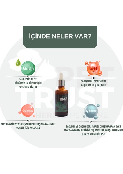 Derma Kedi ve Köpekler Için Tüy Dökülmesi Engelleyici Organik Biyotin, Kolajen ve Çinko 50ML